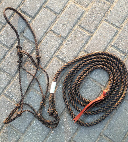 Rope Halter / Lead Rope